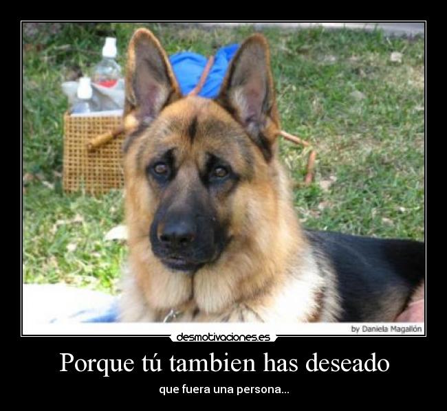 Porque tú tambien has deseado - 