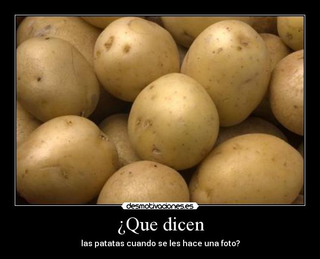 ¿Que dicen - las patatas cuando se les hace una foto?