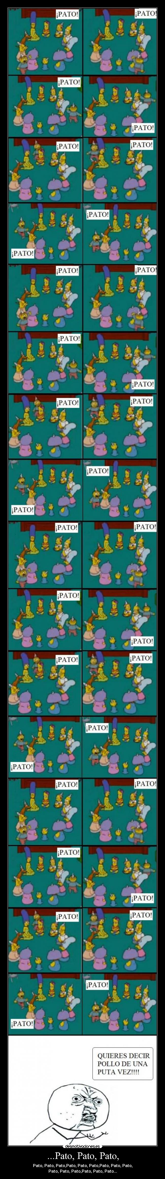 ...Pato, Pato, Pato, -