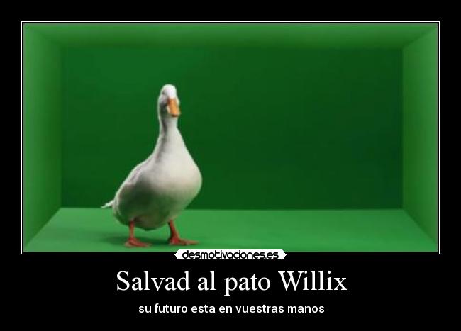 Salvad al pato Willix - su futuro esta en vuestras manos
