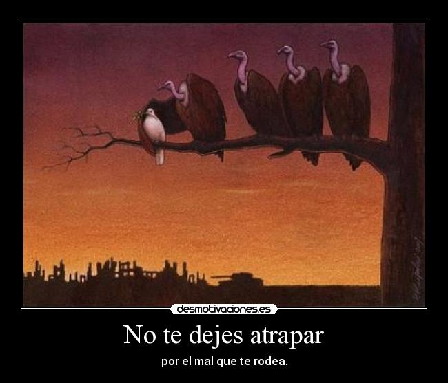 No te dejes atrapar - 