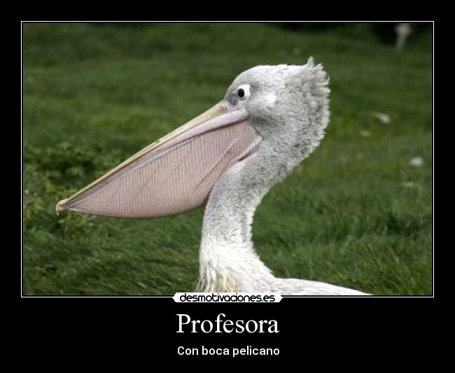 Profesora - Con boca pelicano
