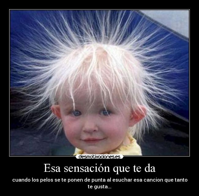 carteles pelos punta desmotivaciones