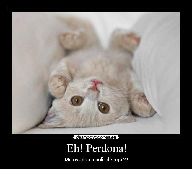 Eh! Perdona! - Me ayudas a salir de aquì??