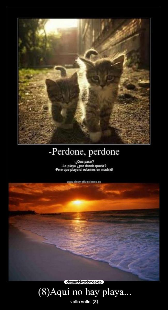 (8)Aquí no hay playa... -