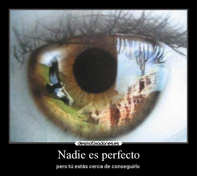 Nadie es perfecto - 