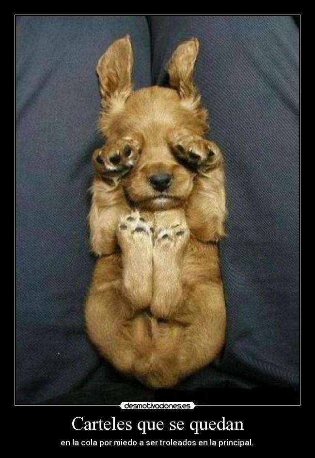 carteles carteles que quedan desmotivaciones