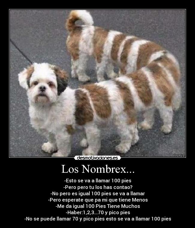 carteles carlos copi from mixta desmotivaciones