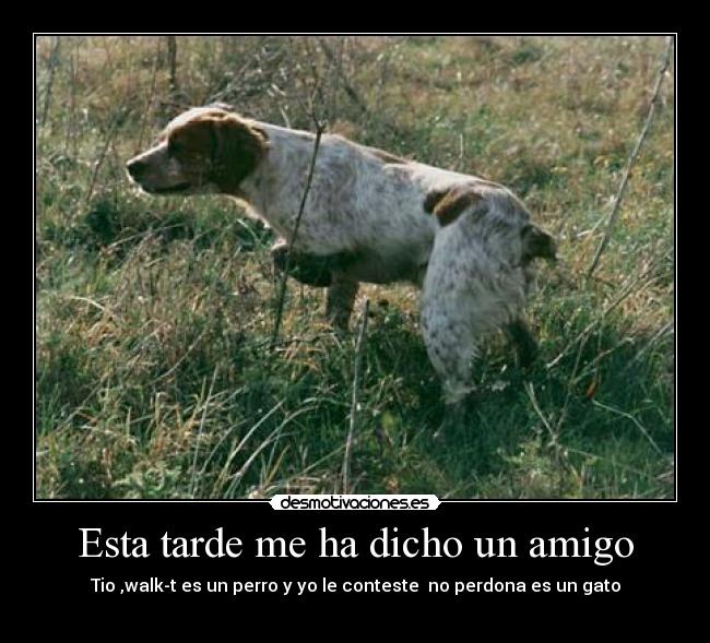 Esta tarde me ha dicho un amigo - 