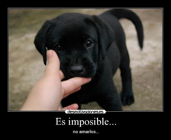 Es imposible... -