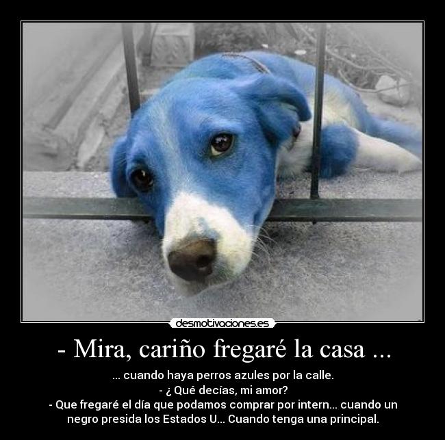 - Mira, cariño fregaré la casa ... - ... cuando haya perros azules por la calle.
- ¿ Qué decías, mi amor?
- Que fregaré el día que podamos comprar por intern... cuando un
negro presida los Estados U... Cuando tenga una principal.