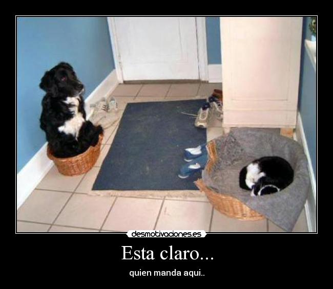Esta claro... - 