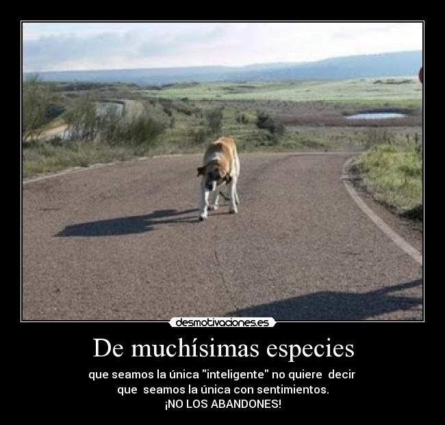 De muchísimas especies -