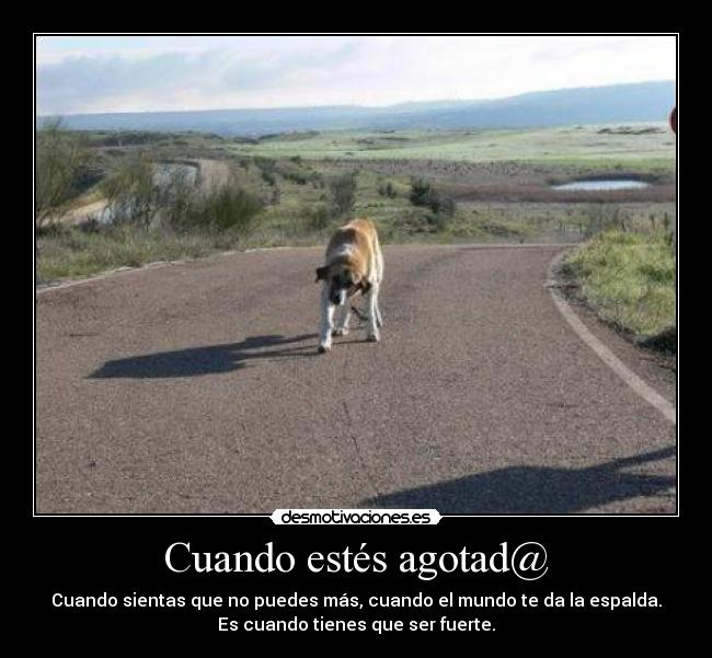 Cuando estés agotad@ -