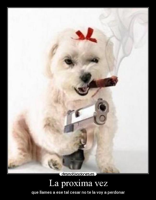 La proxima vez - que llames a ese tal cesar no te la voy a perdonar