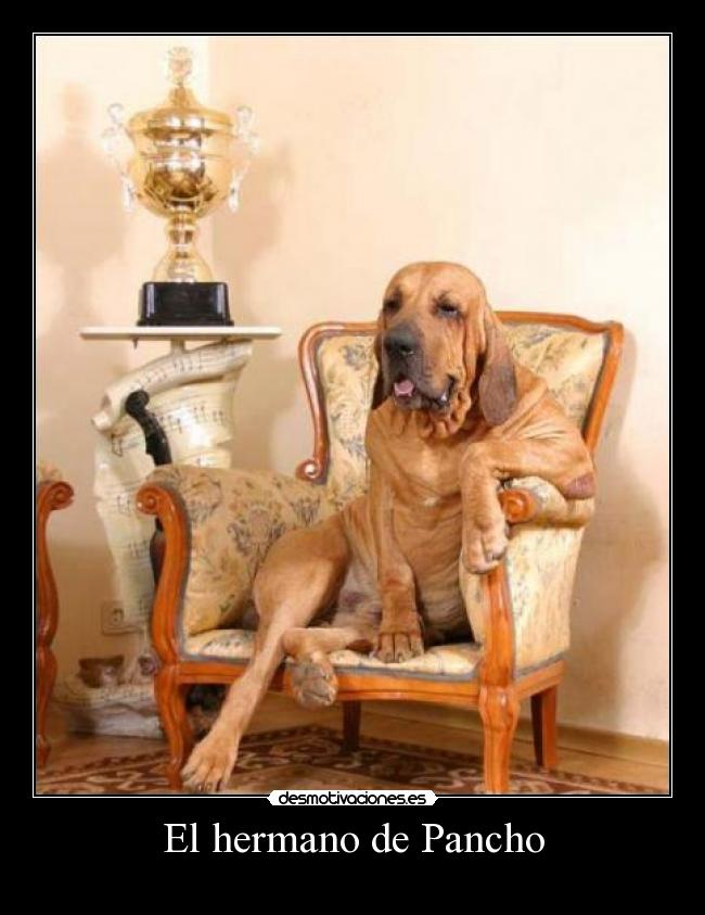 El hermano de Pancho -