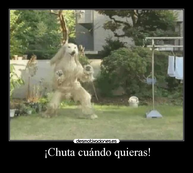 ¡Chuta cuándo quieras! -