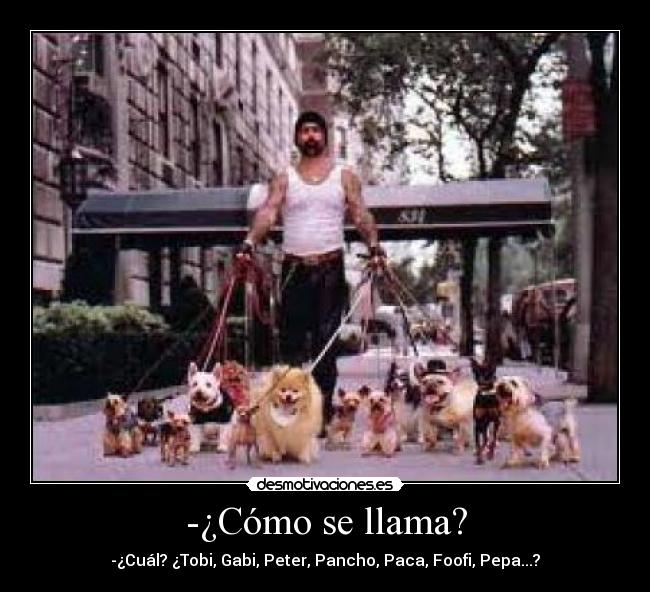 -¿Cómo se llama? -