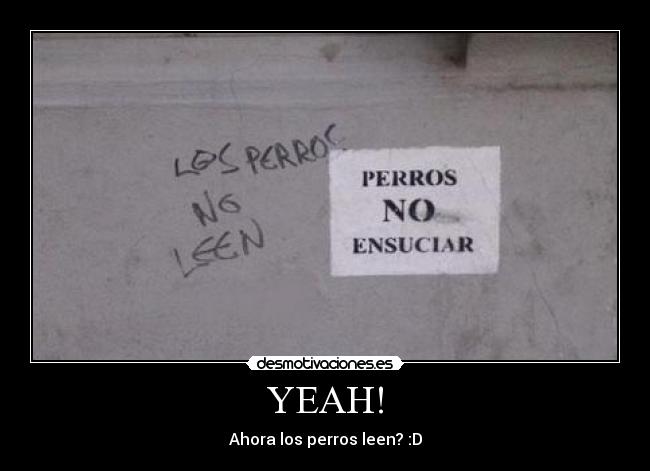 YEAH! - Ahora los perros leen? :D