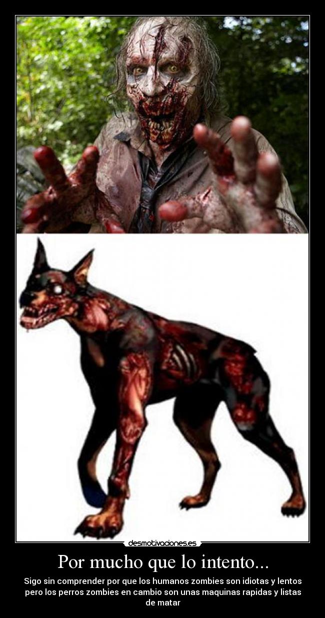 carteles perros zombies zombies comprendo perros desmotivaciones