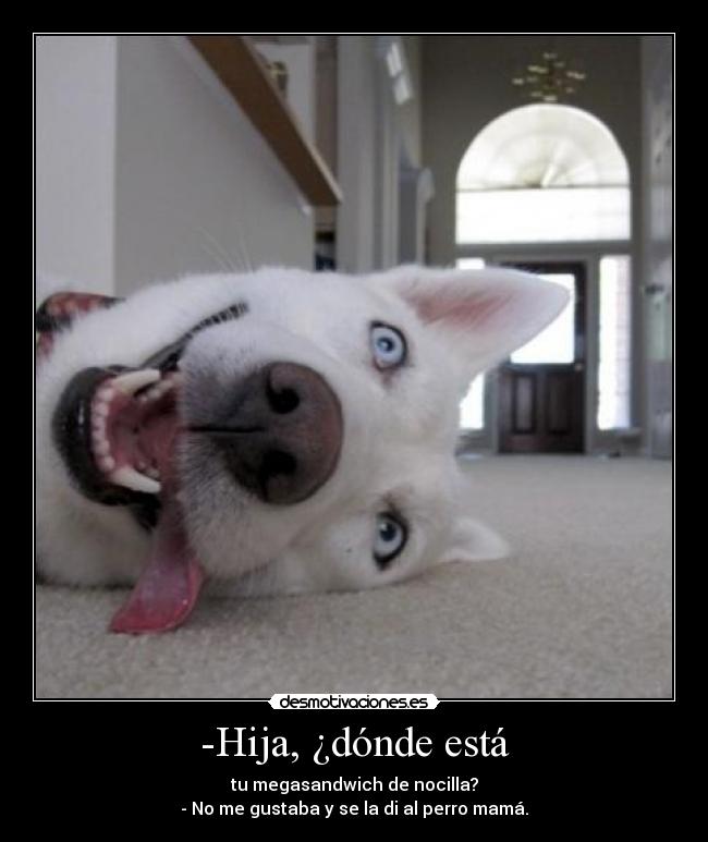 -Hija, ¿dónde está - tu megasandwich de nocilla?
- No me gustaba y se la di al perro mamá.