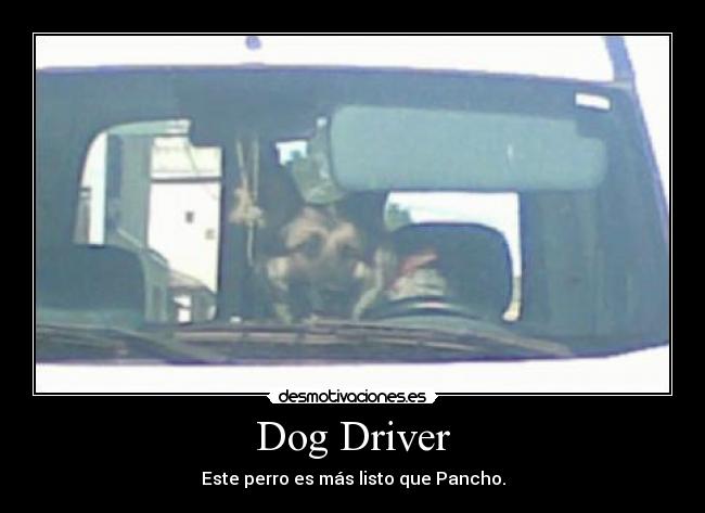 Dog Driver - 