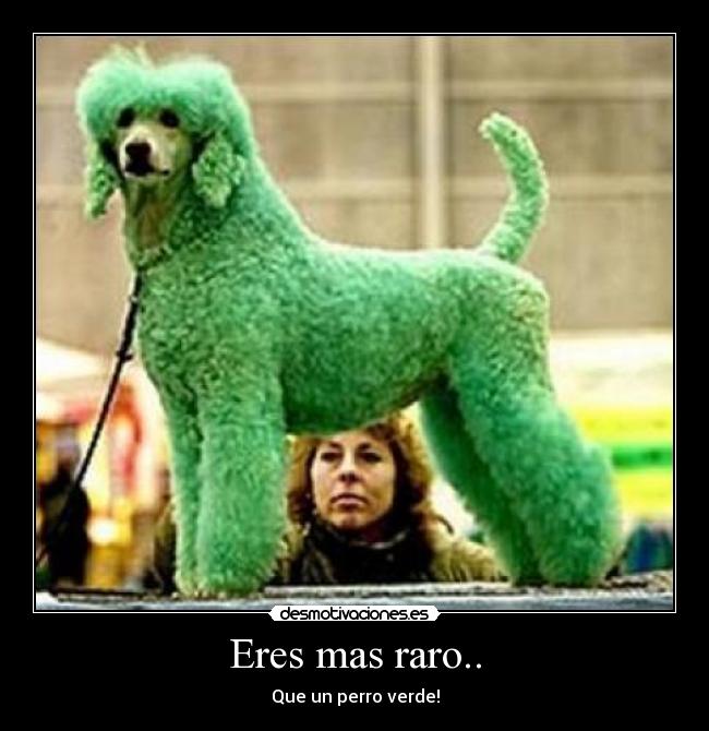 Eres mas raro.. - Que un perro verde!