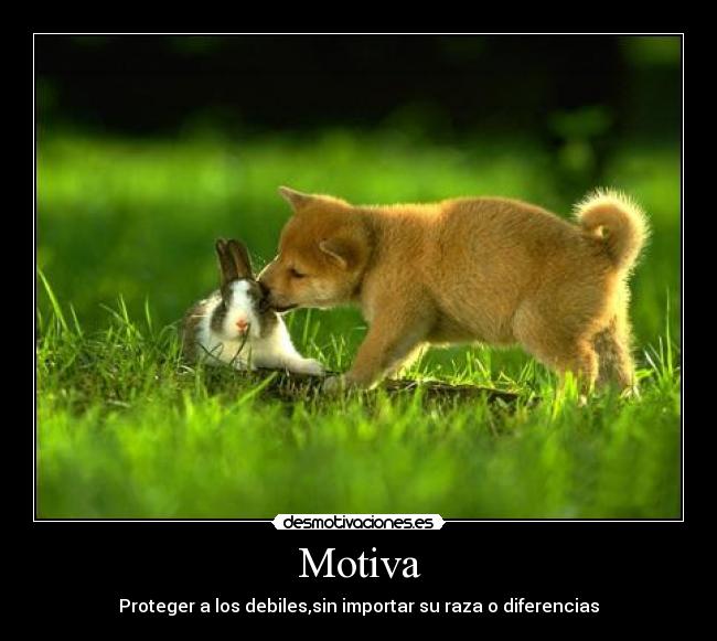 Motiva - Proteger a los debiles,sin importar su raza o diferencias