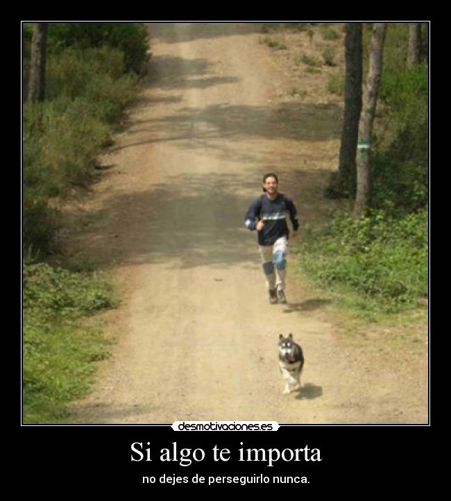 carteles algo desmotivaciones