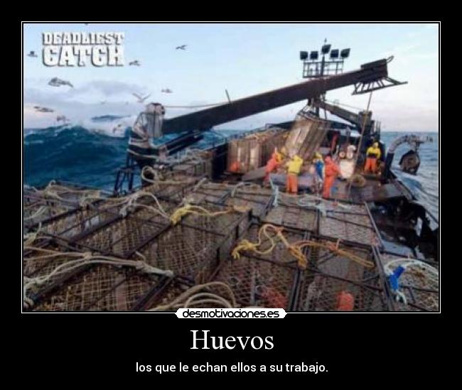 Huevos - los que le echan ellos a su trabajo.