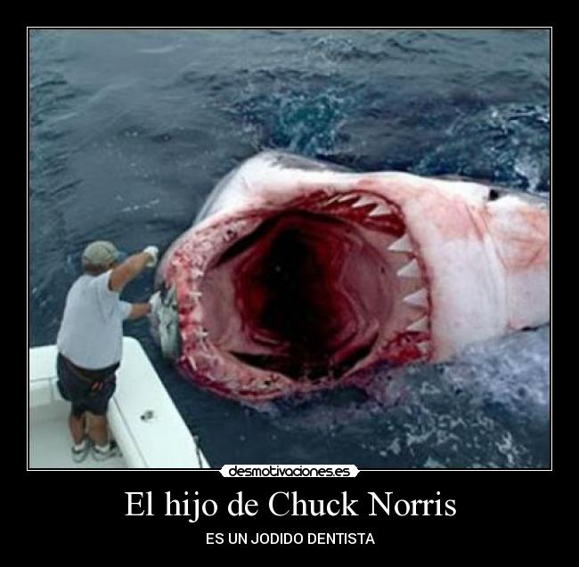 El hijo de Chuck Norris -