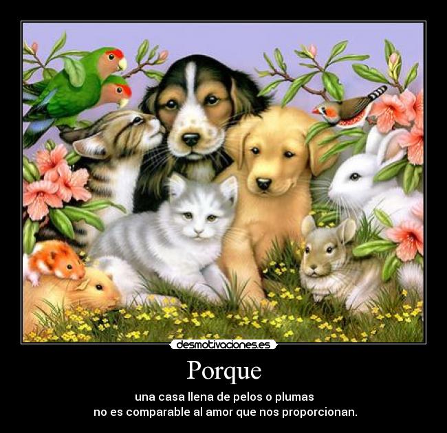 Porque - una casa llena de pelos o plumas
 no es comparable al amor que nos proporcionan.