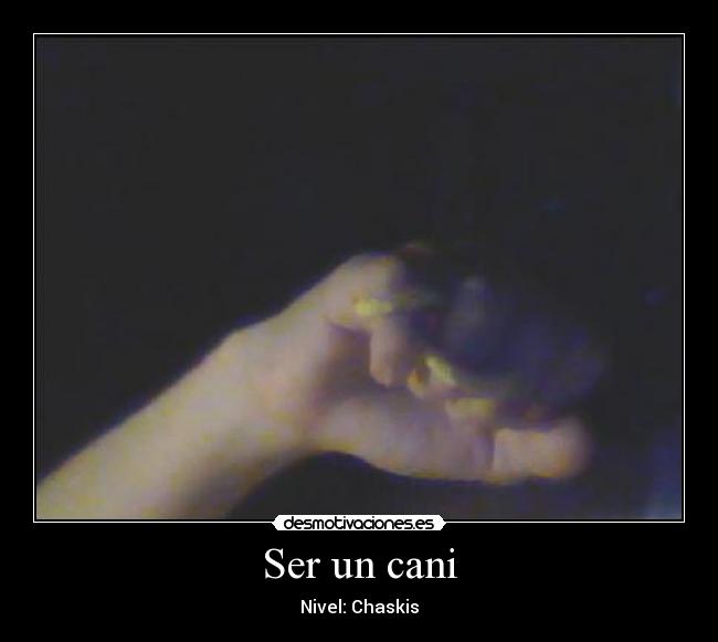 Ser un cani - Nivel: Chaskis
