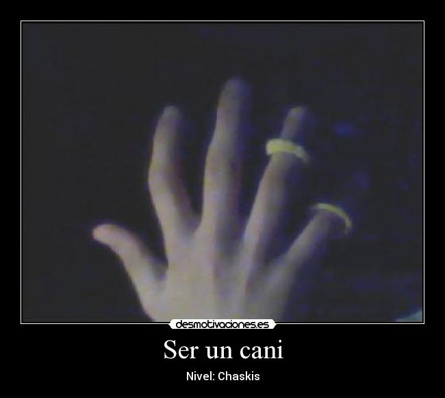 Ser un cani - Nivel: Chaskis