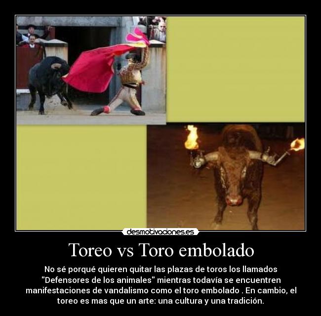 Toreo vs Toro embolado -