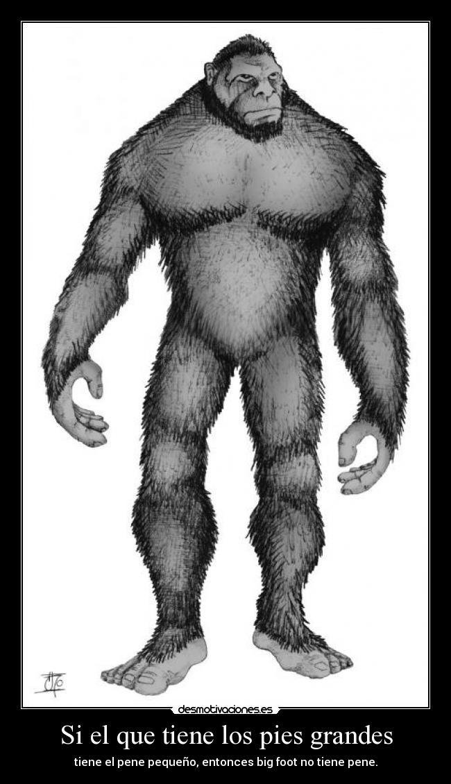 Si el que tiene los pies grandes Desmotivaciones