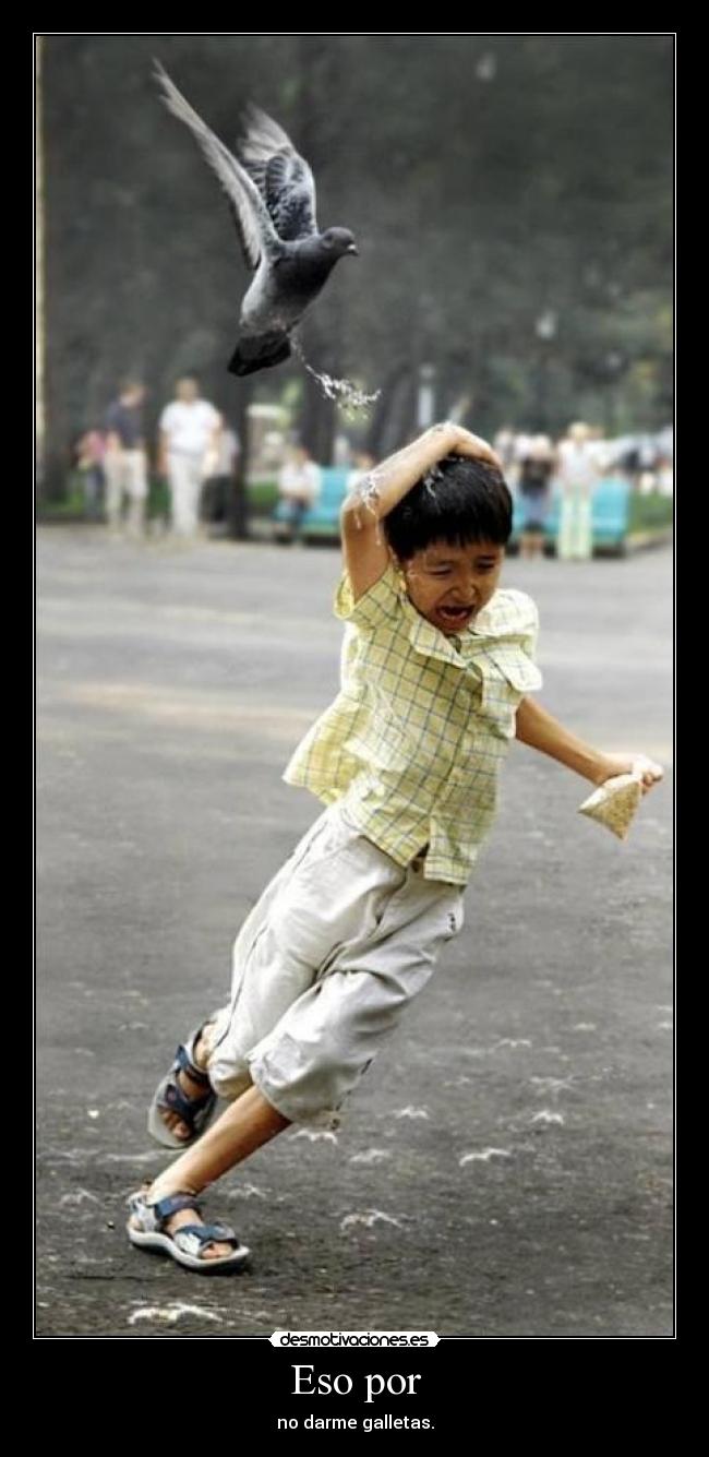 carteles jafm1998 desmotivaciones