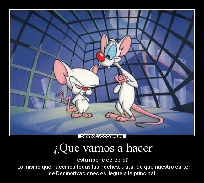 -¿Que vamos a hacer -