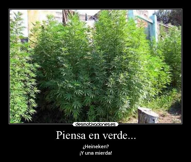 Piensa en verde... - ¿Heineken?
¡Y una mierda!