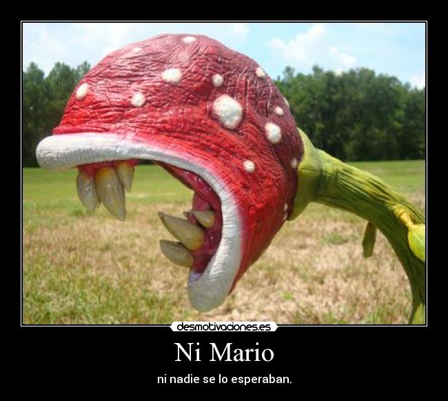 Ni Mario - ni nadie se lo esperaban.