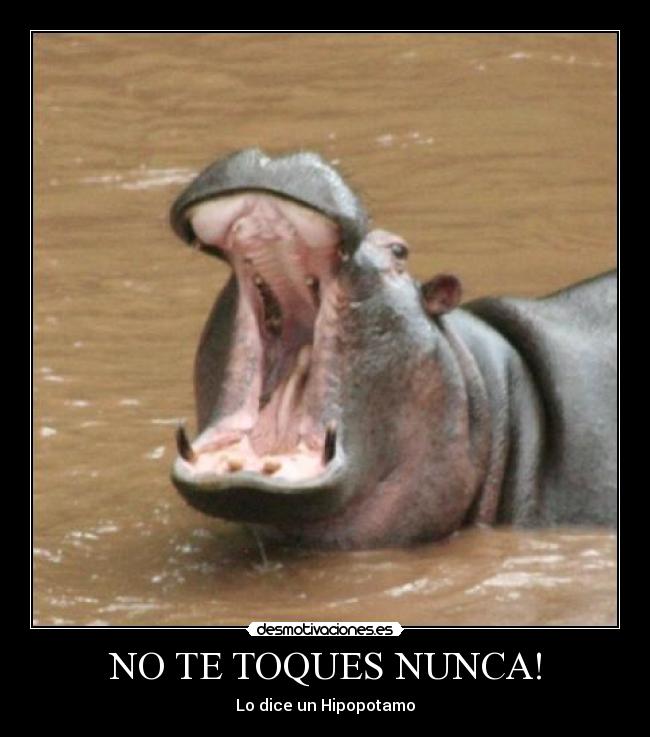 NO TE TOQUES NUNCA! -