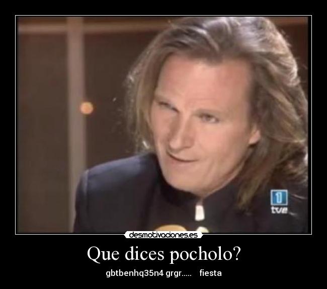 Que dices pocholo? - gbtbenhq35n4 grgr.....    fiesta