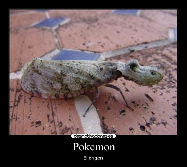 Pokemon - El origen 