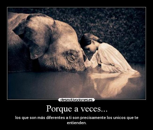 carteles porque veces desmotivaciones