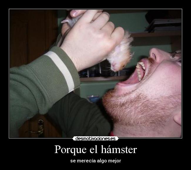 Porque el hámster -