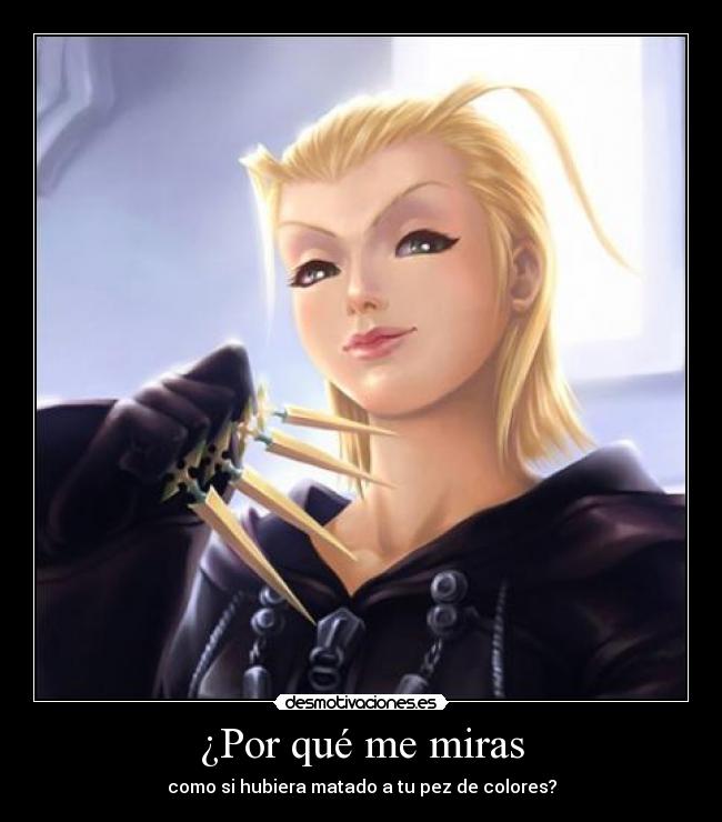 ¿Por qué me miras - como si hubiera matado a tu pez de colores?