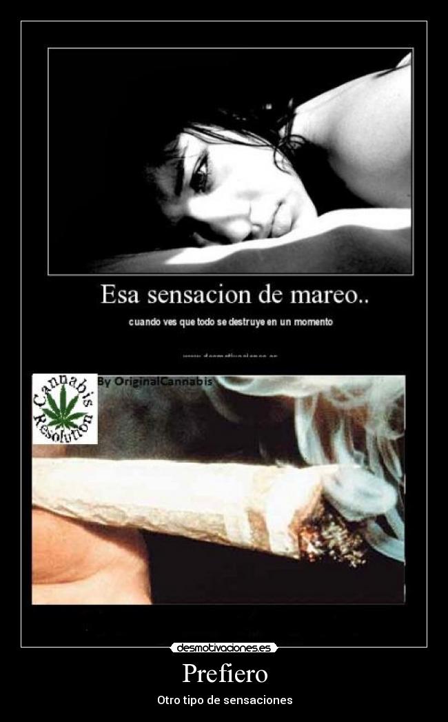 carteles original cannabis porromareo sensacion esa cuando vez que todo destruye desmotivaciones