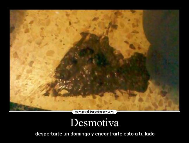 Desmotiva - despertarte un domingo y encontrarte esto a tu lado