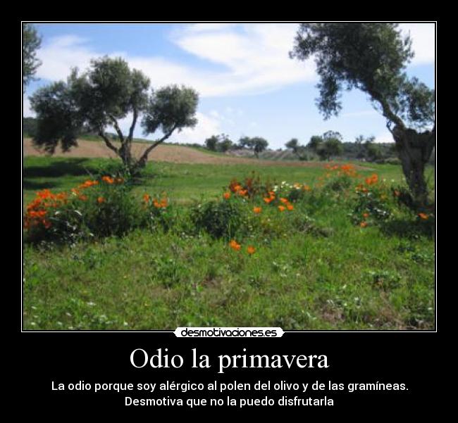 Odio la primavera - 