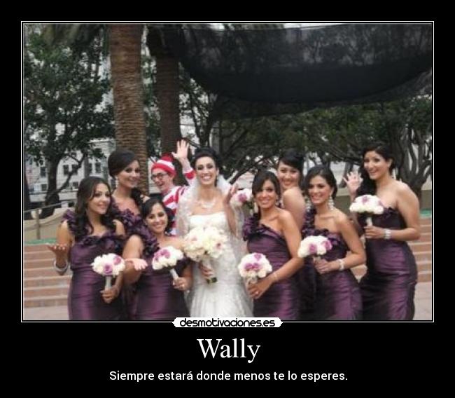 Wally - Siempre estará donde menos te lo esperes.